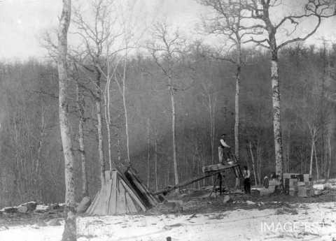 Scieurs de bois